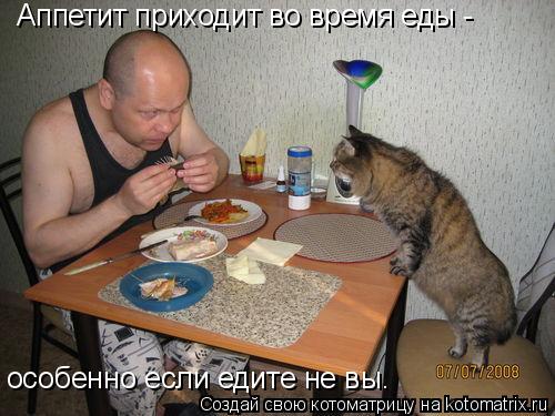 особенно если едите не вы. Аппетит приходит во время еды -... Котоматрица: особенно если едите не вы. Аппетит приходит во время еды -