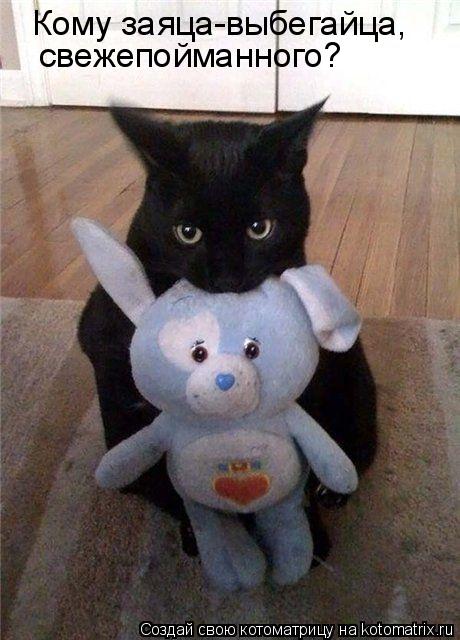 Котоматрица: Кому заяца-выбегайца, свежепойманного?