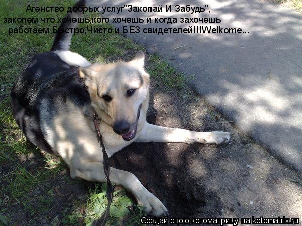 Агенство добрых услуг"Закопай И Забудь", закопем что хочешь,кого хочешь и когда захочешь работаем Быс... Котоматрица: Агенство добрых услуг"Закопай И Забудь", закопем что хочешь,кого хочешь и когда захочешь работаем Быстро,Чисто и БЕЗ свидетелей!!!Welkome...