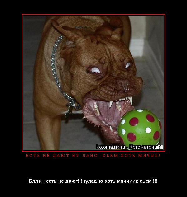 Котоматрица: Е С Т Ь   Н Е   Д А Ю Т   Н У   Л А Н О     С Ь Е М   Х О Т Ь   М Я Ч И К ! 