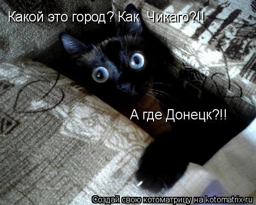 Какой это город? Как Чикаго?!! А где Донецк?!!... Котоматрица: Какой это город? Как Чикаго?!! А где Донецк?!!