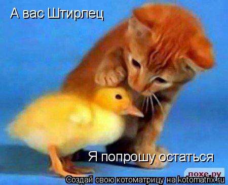 Котоматрица: А вас Штирлец Я попрошу остаться