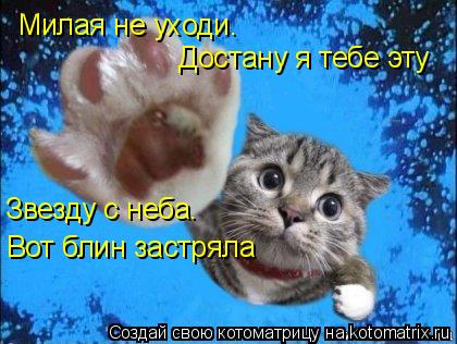 Котоматрица: Милая не уходи. Достану я тебе эту  Звезду с неба.  Вот блин застряла