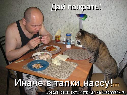 Котоматрица: Дай пожрать! Иначе в тапки нассу!