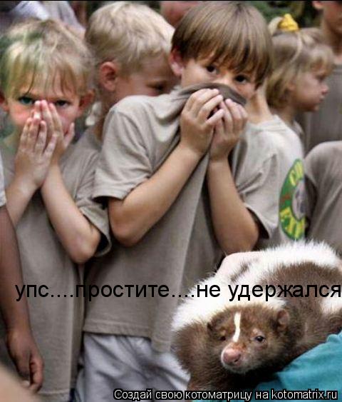 Котоматрица: упс....простите....не удержался