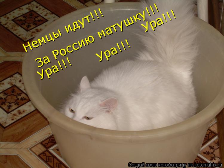 Котоматрица: Немцы идут!!! За Россию матушку!!! Ура!!! Ура!!! Ура!!!