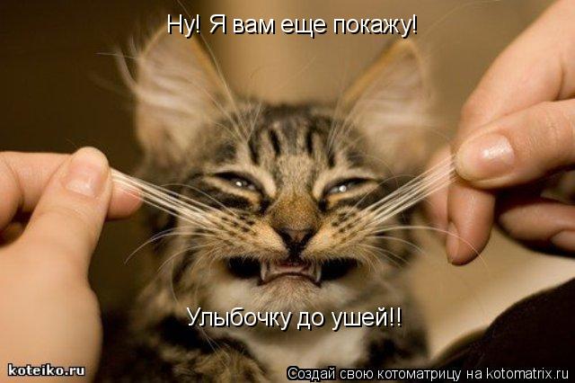 Котоматрица: Ну! Я вам еще покажу! Улыбочку до ушей!!
