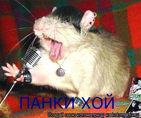 Котоматрица: ПАНКИ ХОЙ
