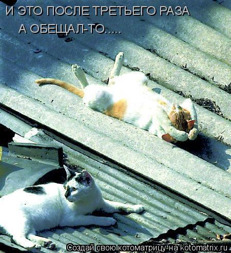 И ЭТО ПОСЛЕ ТРЕТЬЕГО РАЗА А ОБЕЩАЛ-ТО........ Котоматрица: И ЭТО ПОСЛЕ ТРЕТЬЕГО РАЗА А ОБЕЩАЛ-ТО.....