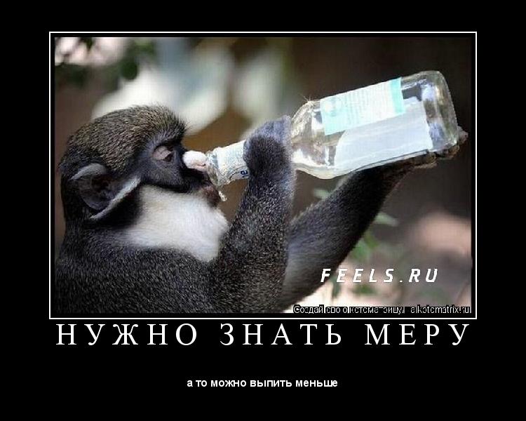 Н У Ж Н О З Н А Т Ь М Е Р У ... Котоматрица: Н У Ж Н О З Н А Т Ь М Е Р У