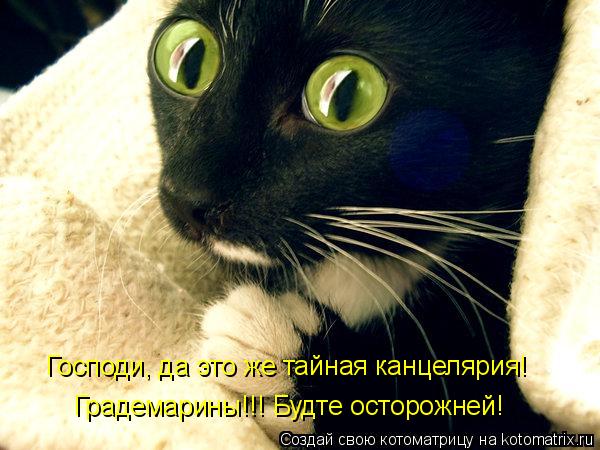 Котоматрица: Господи, да это же тайная канцелярия! Градемарины!!! Будте осторожней!