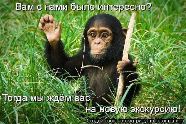 Котоматрица: Вам с нами было интересно? Тогда мы ждём вас  на новую экскурсию!