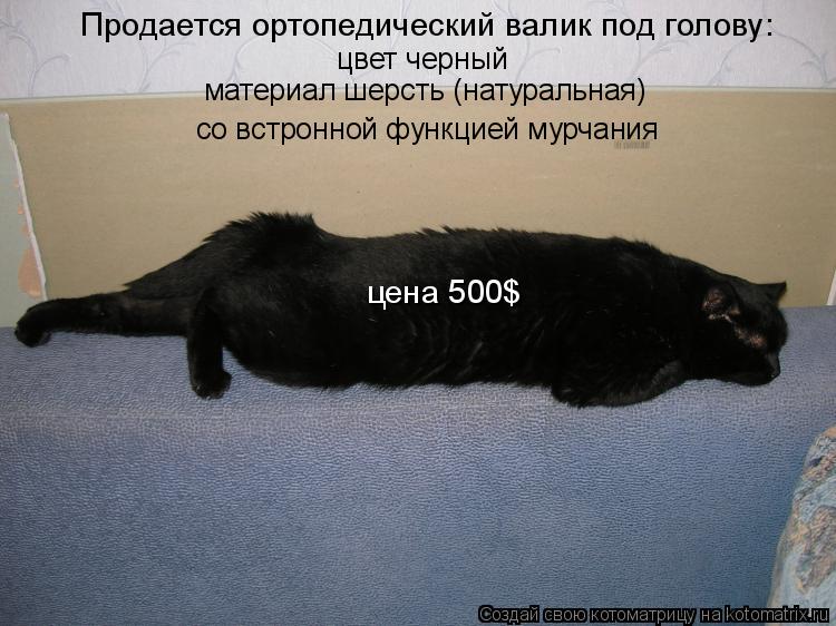 Котоматрица: Продается ортопедический валик под голову: цвет черный материал шерсть (натуральная) со встронной функцией мурчания цена 500$