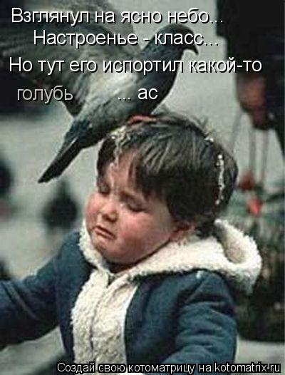 Котоматрица: Взглянул на ясно небо... Настроенье - класс... Но тут его испортил какой-то голубь ... ас