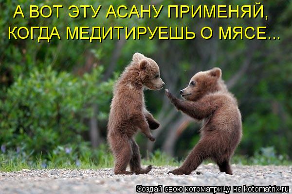 Котоматрица: А ВОТ ЭТУ АСАНУ ПРИМЕНЯЙ, КОГДА МЕДИТИРУЕШЬ О МЯСЕ...