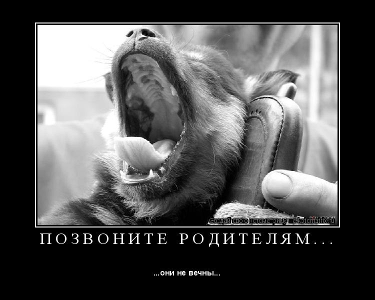 П О З В О Н И Т Е Р О Д И Т Е Л Я М . . . ... Котоматрица: П О З В О Н И Т Е Р О Д И Т Е Л Я М . . .