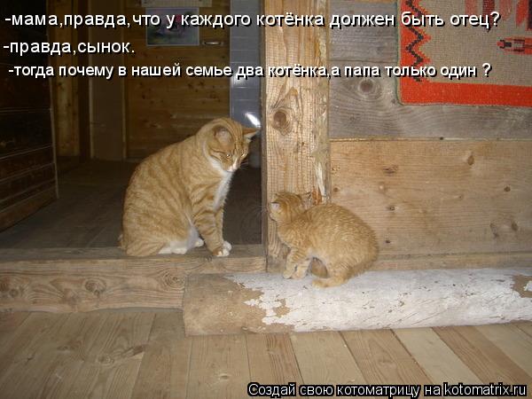 -мама,правда,что у каждого котёнка должен быть отец? -правда,сынок. -тогда почему в нашей семье два к... Котоматрица: -мама,правда,что у каждого котёнка должен быть отец? -правда,сынок. -тогда почему в нашей семье два котёнка,а папа только один ?
