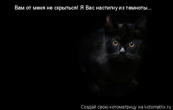 Котоматрица: Вам от меня не скрыться! Я Вас настигну из темноты...