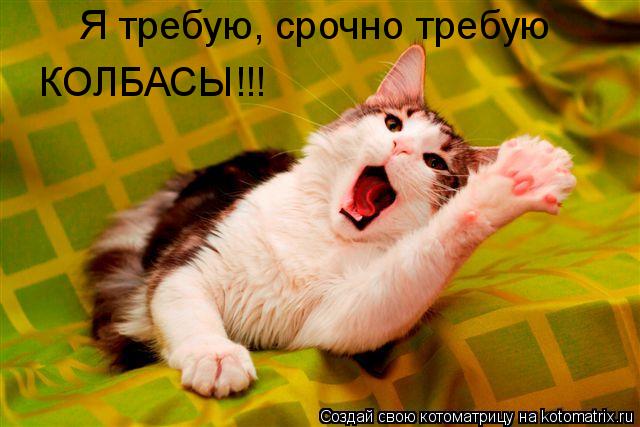 Котоматрица: Я требую, срочно требую КОЛБАСЫ!!!
