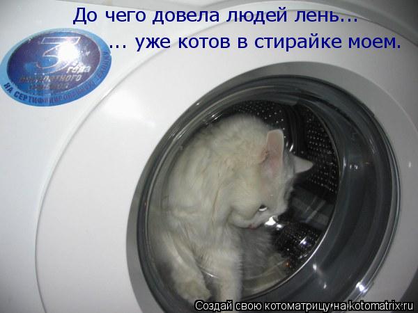 Котоматрица: До чего довела людей лень... ... уже котов в стирайке моем.