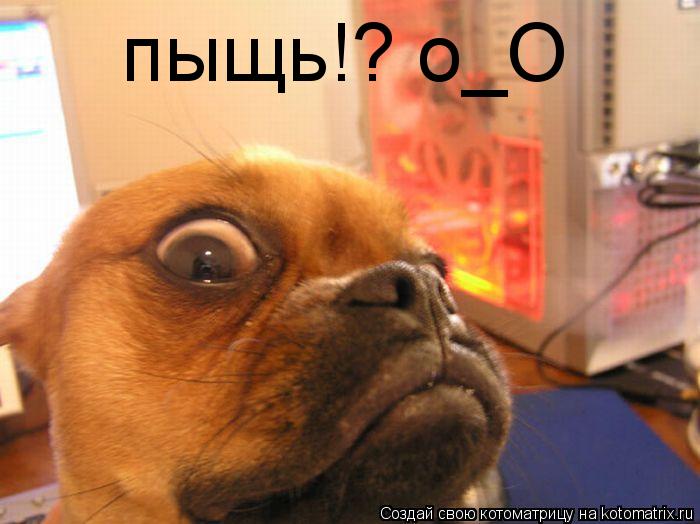 Котоматрица: пыщь!? о_О