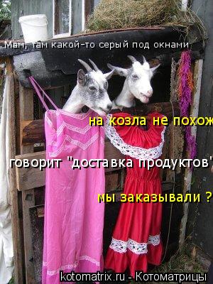 Котоматрица: Мам, там какой-то серый под окнами на козла не похож говорит "доставка продуктов" мы заказывали ?