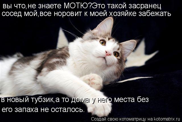 Котоматрица: вы что,не знаете МОТЮ?Это такой засранец сосед мой,все норовит к моей хозяйке забежать в новый тубзик,а то дома у него места без его запаха н
