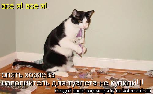 все я! все я! опять хозяева наполнитель для туалета не купили!!!... Котоматрица: все я! все я! опять хозяева наполнитель для туалета не купили!!!