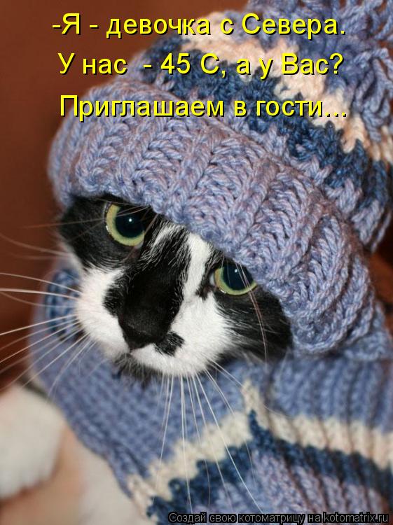 Котоматрица: -Я - девочка с Севера. У нас  - 45 С, а у Вас? Приглашаем в гости...