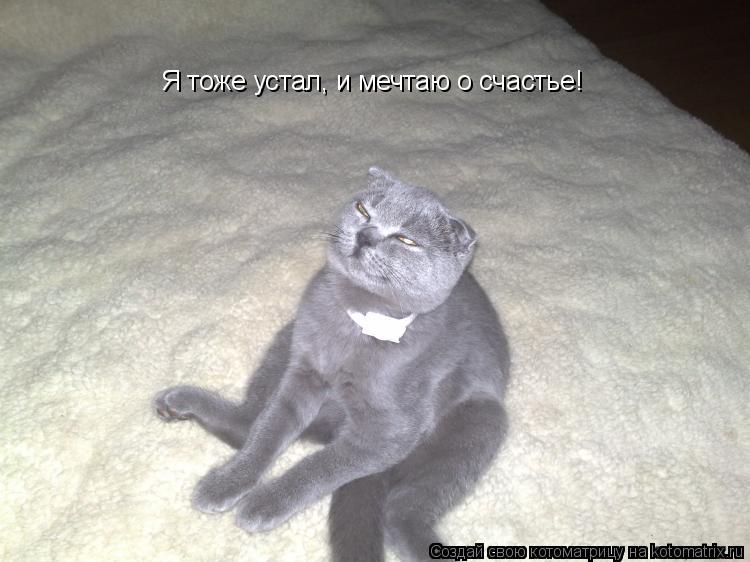 Котоматрица: Я тоже устал, и мечтаю о счастье!