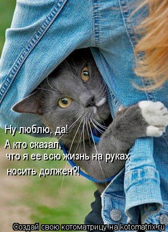 Котоматрица: что я ее всю жизнь на руках носить должен?! Ну люблю, да! А кто сказал,