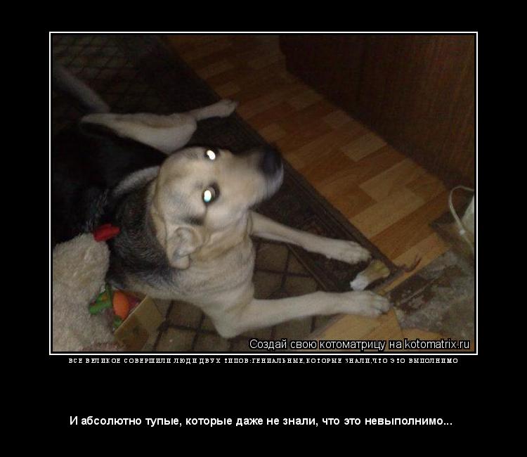 Котоматрица: В С Е   В Е Л И К О Е   С О В Е Р Ш И Л И   Л Ю Д И   Д В У Х   Т И П О В : Г Е Н И А Л Ь Н Ы Е , К О Т О Р Ы Е   З Н А Л И , Ч Т О   Э Т О   В Ы П О 