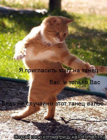 Я,пригласить хочу на танец Вас, и только Вас Ведь не случайно этот танец вальс... Котоматрица: Я,пригласить хочу на танец Вас, и только Вас Ведь не случайно этот танец вальс