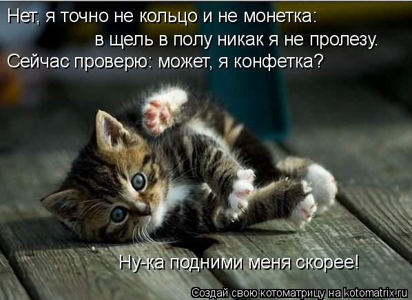 Котоматрица: Нет, я точно не кольцо и не монетка: в щель в полу никак я не пролезу. Сейчас проверю: может, я конфетка? Ну-ка подними меня скорее!