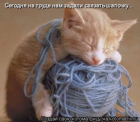 Котоматрица: Сегодня на труде нам задали связать шапочку...