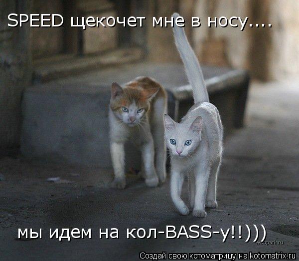 Котоматрица: SPEED щекочет мне в носу.... мы идем на кол-BASS-у!!)))