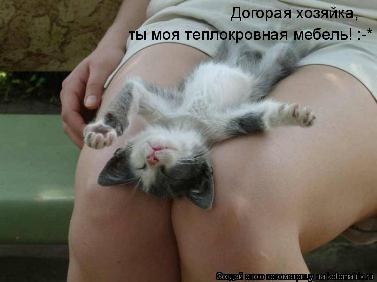 Котоматрица: Догорая хозяйка, ты моя теплокровная мебель! :-*