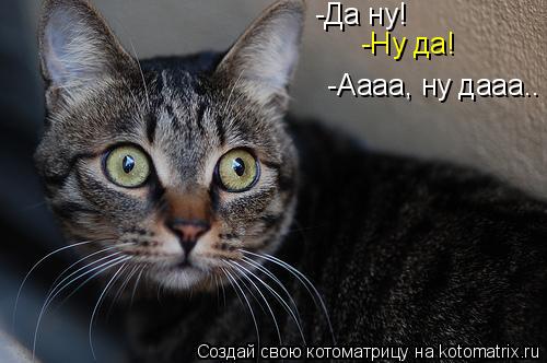 -Да ну! -Ну да! -Аааа, ну дааа..... Котоматрица: -Да ну! -Ну да! -Аааа, ну дааа..