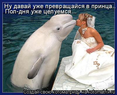 Котоматрица: Ну давай уже превращайся в принца.. Пол-дня уже целуемся...