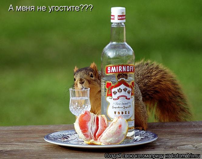 Котоматрица: А меня не угостите???