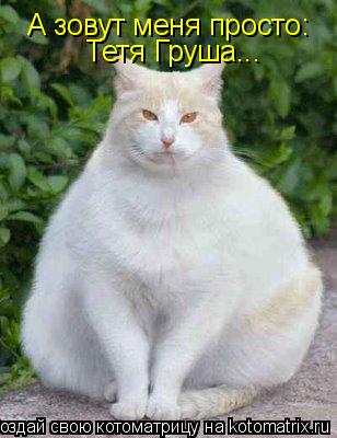 Котоматрица: А зовут меня просто: Тетя Груша...
