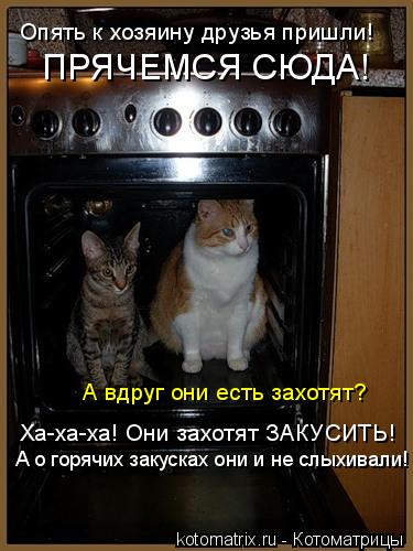 Котоматрица: Опять к хозяину друзья пришли! ПРЯЧЕМСЯ СЮДА! А вдруг они есть захотят? Ха-ха-ха! Они захотят ЗАКУСИТЬ! А о горячих закусках они и не слыхивал