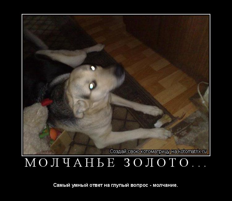М О Л Ч А Н Ь Е З О Л О Т О . . . ... Котоматрица: М О Л Ч А Н Ь Е З О Л О Т О . . .