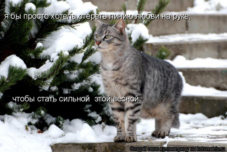 я бы просто хотела стереть линию любви на руке, чтобы стать сильной этой весной... Котоматрица: я бы просто хотела стереть линию любви на руке, чтобы стать сильной этой весной