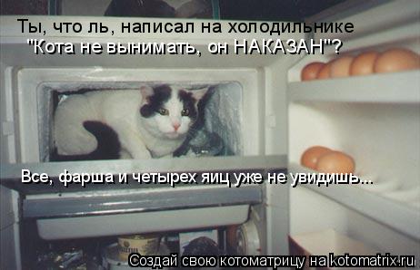 Котоматрица: Ты, что ль, написал на холодильнике "Кота не вынимать, он НАКАЗАН"? Все, фарша и четырех яиц уже не увидишь...