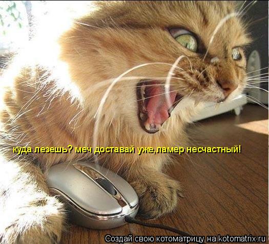 Котоматрица: куда лезешь? меч доставай уже,ламер несчастный!