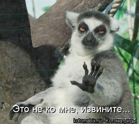 Котоматрица: Это не ко мне, извините...
