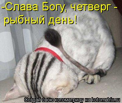 Котоматрица: -Слава Богу, четверг -  рыбный день!