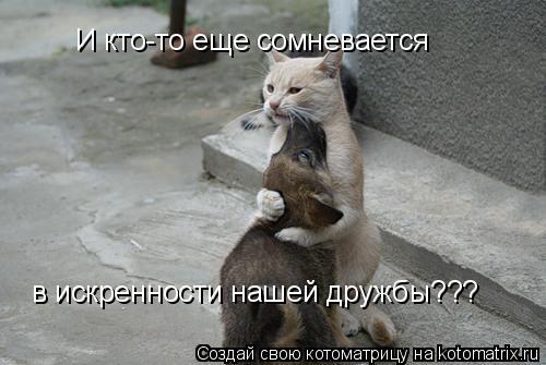 И кто-то еще сомневается в искренности нашей дружбы???... Котоматрица: И кто-то еще сомневается в искренности нашей дружбы???