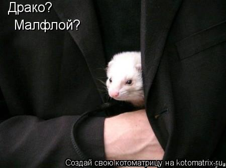 Котоматрица: Малфлой? Драко?